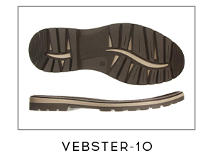 VEBSTER-10